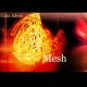 Mesh EP 